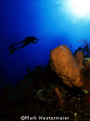 Heading Back - Image taken in Grand Cayman with a Nikonos... by Mark Westermeier 